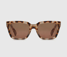 Cyrill Sun Readers - Bone Tortoise